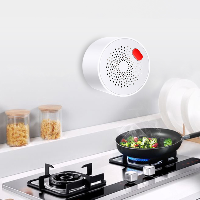 Tuya Smart Home Wifi naturalny – Smart Home Outdoor recenzja i cena