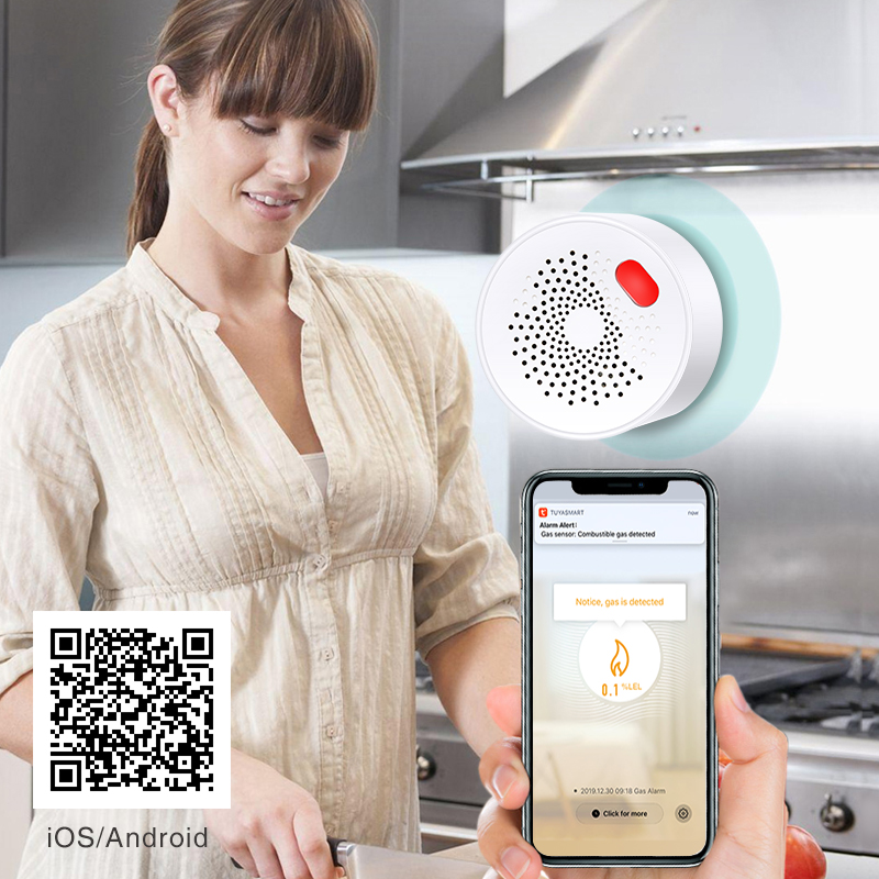 Tuya Smart Home Wifi naturalny – Smart Home Outdoor recenzja i cena